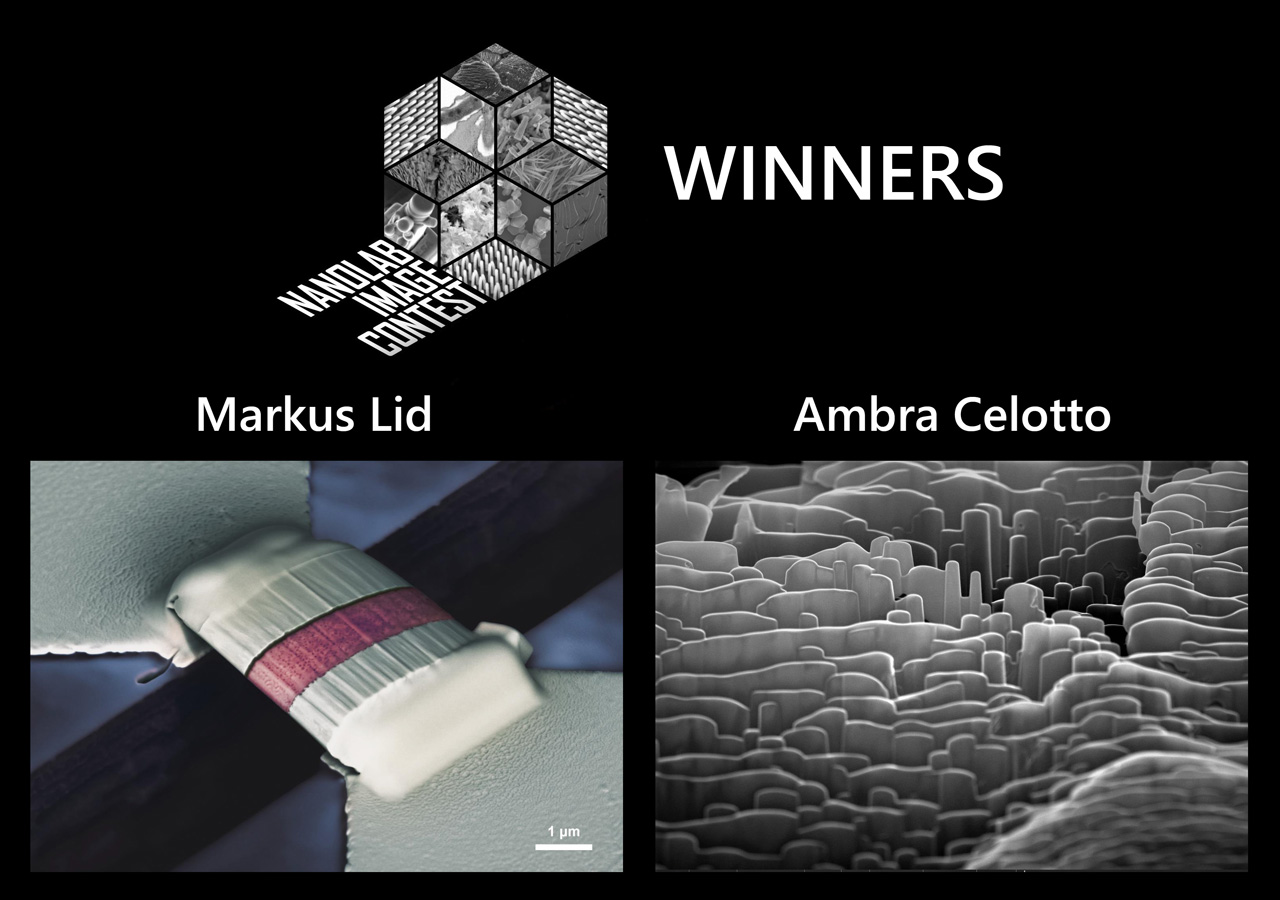 Nanolab Contest Winners